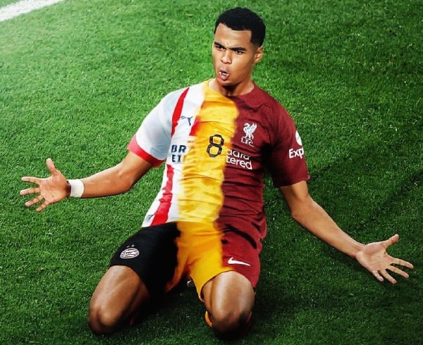 爱游戏APP今晚突围战来临，埃因霍温围绕足总杯复出首秀，引发热议，球探报告显示潜力的简单介绍